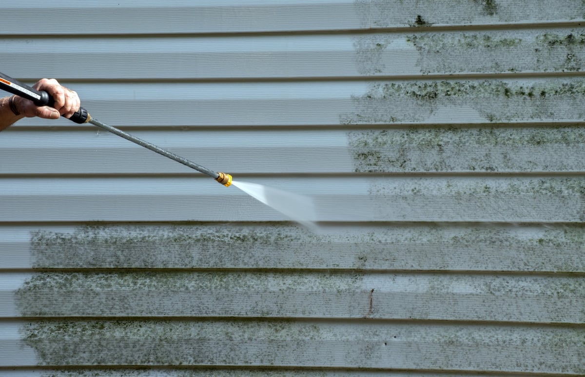 Mold removal from vinyl siding